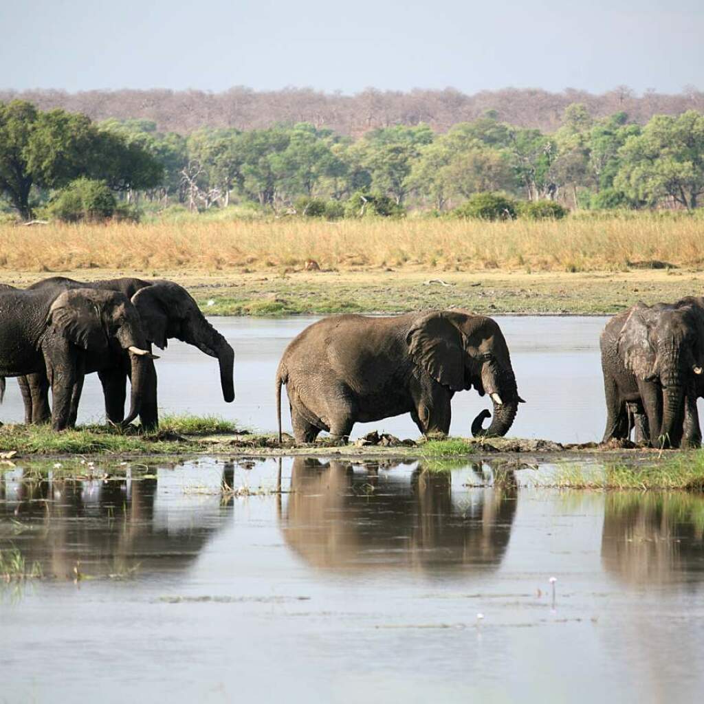 Khwai Conservation Area